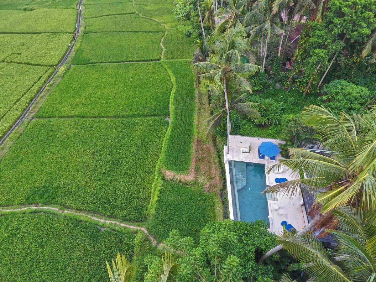 Villa Balinese Luxurious Elegance Убуд Екстер'єр фото