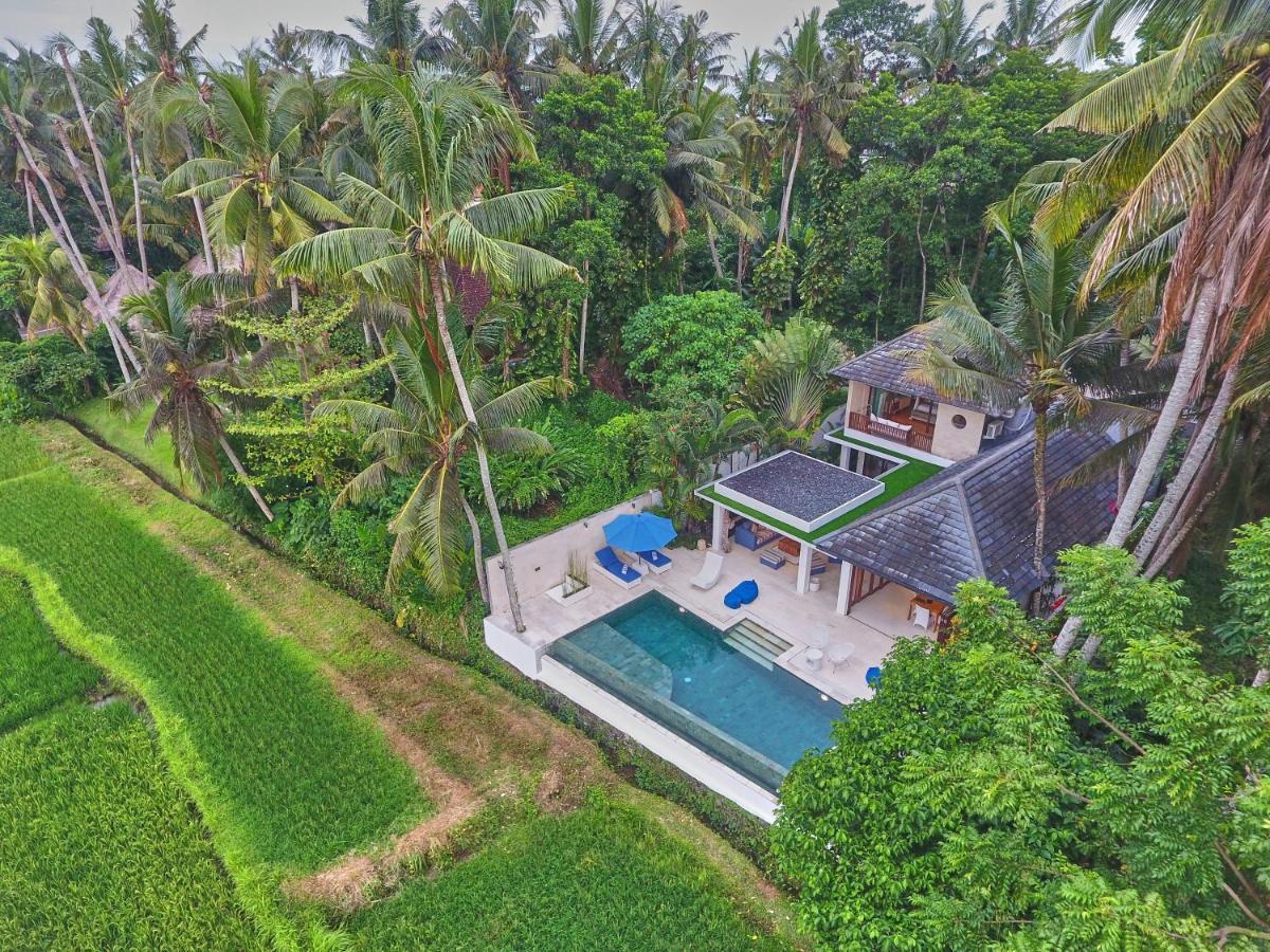 Villa Balinese Luxurious Elegance Убуд Екстер'єр фото