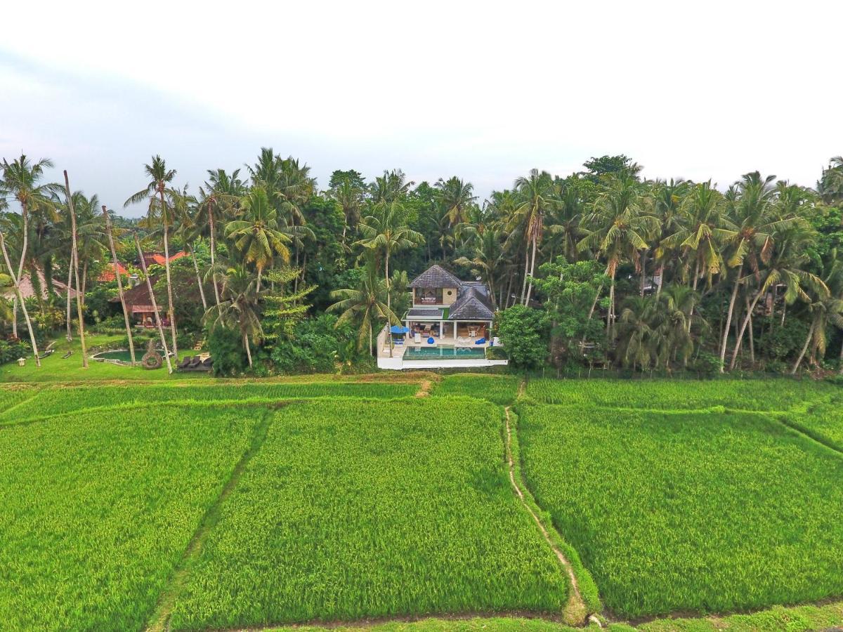 Villa Balinese Luxurious Elegance Убуд Екстер'єр фото