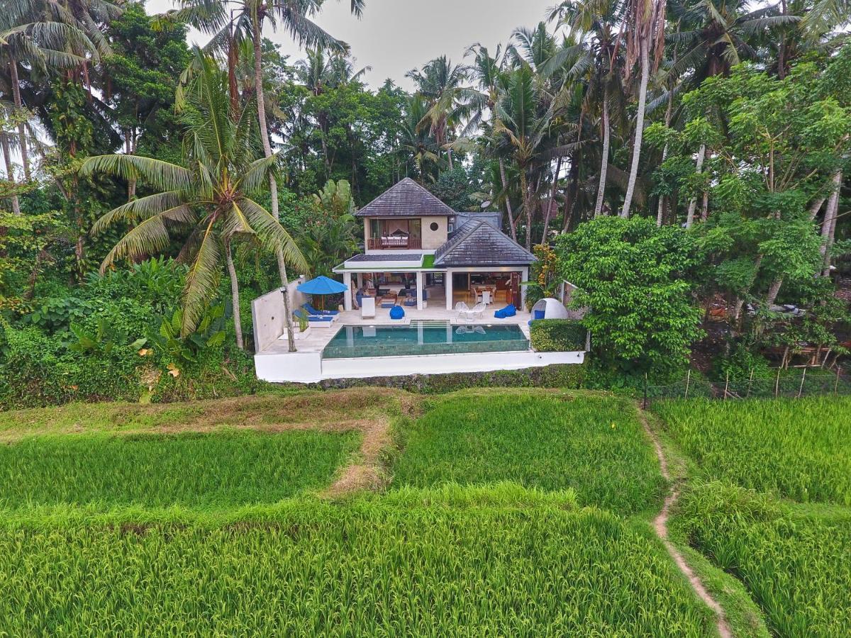 Villa Balinese Luxurious Elegance Убуд Екстер'єр фото